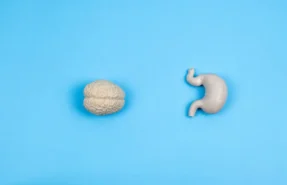 The Gut-Brain Connection